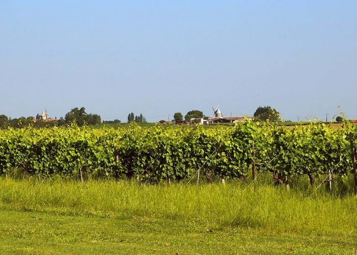 photographie de L'Alambic de l'estuaire
