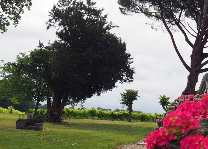 photographie de L'Alambic de l'estuaire