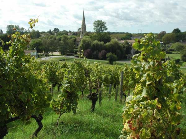 L'Alambic de l'estuaire