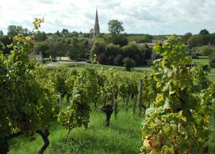 Découvrir autour de L'Alambic de l'estuaire